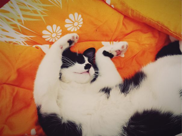 Rub, Rub, Rub... And She Goes Like This.