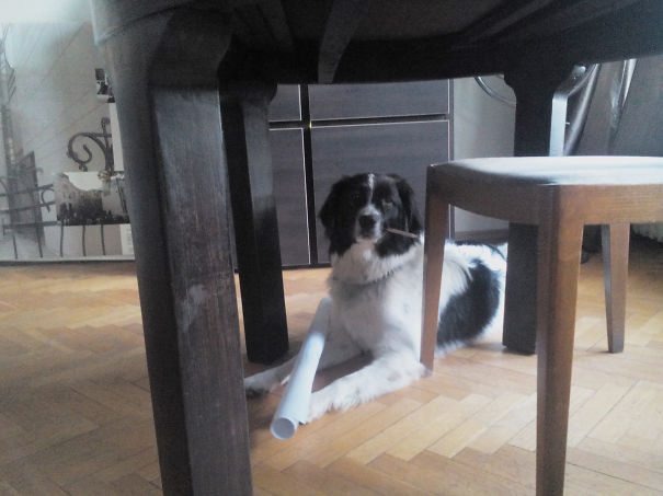 Master Of Architects - M.a. Spas