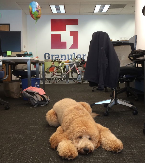 Ruby Is Taking A Break From A Hard Day Building Farming Software At Granular.