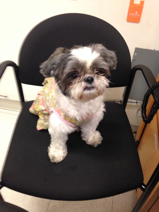 It's Hard Working For A Non-profit.