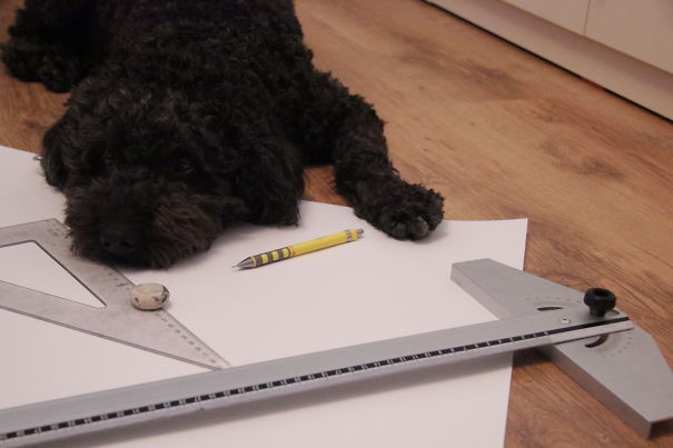 Nero Working On An Architectural Project