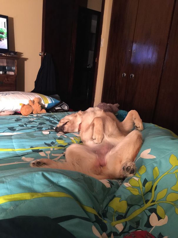 She Even Kicks While Sleeping... Moka