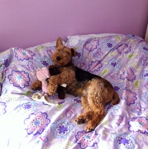 Can I Go Back To Sleep?