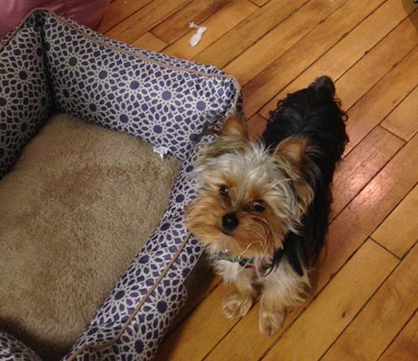 Waiting For His Paycheck