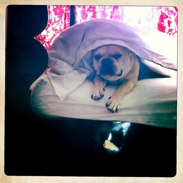 Is Is Morning Already??