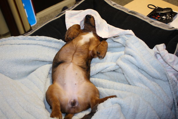 Taking My 15 Minute Break.