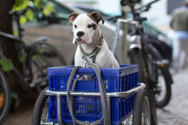 I've Been Standing Here Waitin' Mr. Postman, So-o-o Patiently