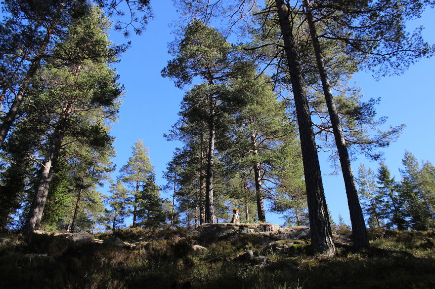 My Favorite Pictures From My Dog-walking Adventures