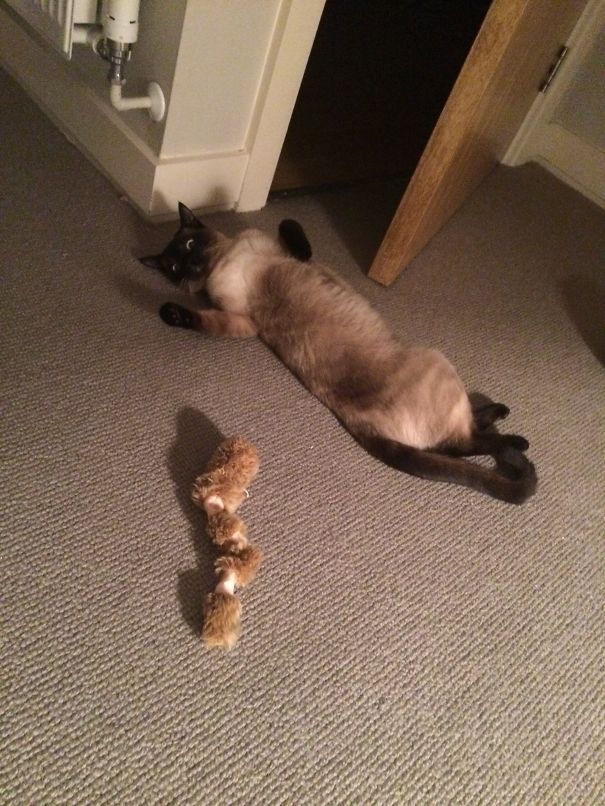 Do You Think I'm Sexy?