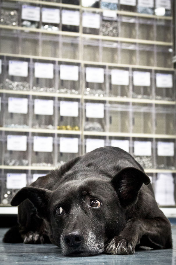 I'm So Not Into Labels. That Is So 19th Century...