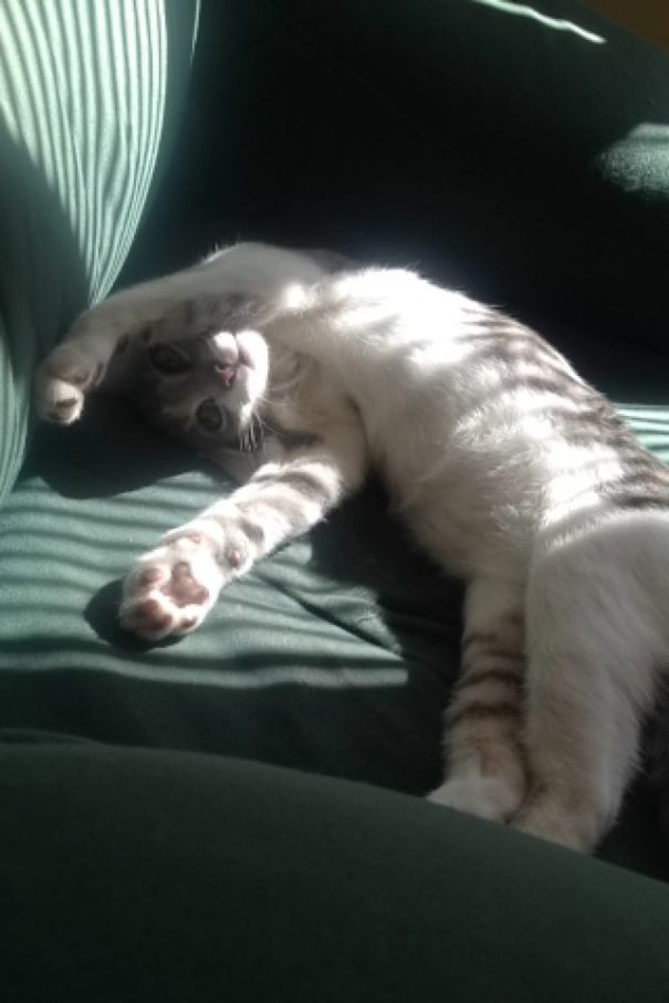 Big Brother Is Always Watching