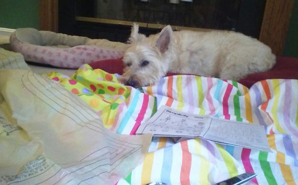 Buttons Helps Sewing Costumes!