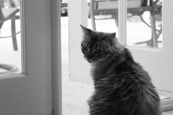 You Want Me To Go Out There?