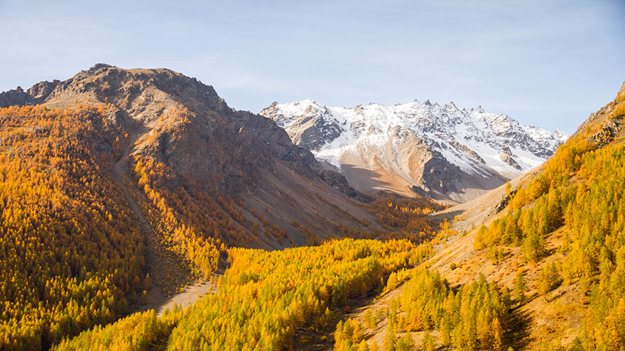La Clarée: The Amazing 'Golden Valley' In France Becomes Hiking Heaven In Autumn La Clarée: The Amazing 'Golden Valley' In France Becomes Hiking Heaven In Autumn
