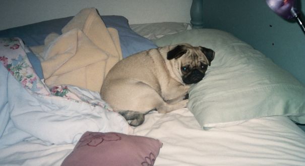 Please Go Away... I'm Resting.