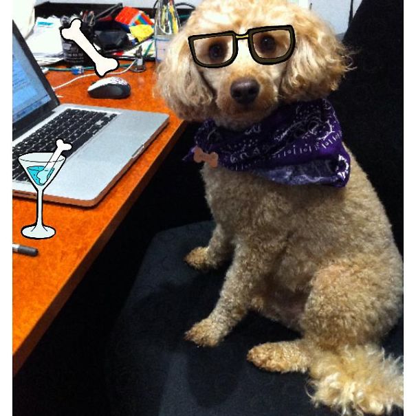 Maxie Celebrates Take Your Owner To Work Day!