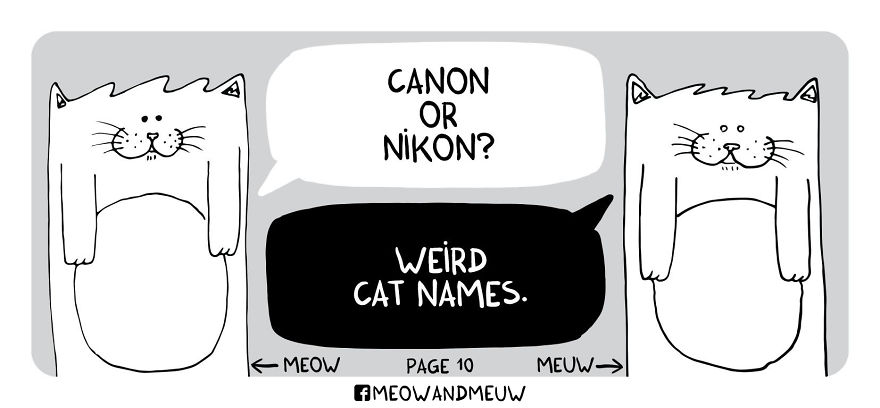 Meow And Meuw: The Cats With Sarcasm