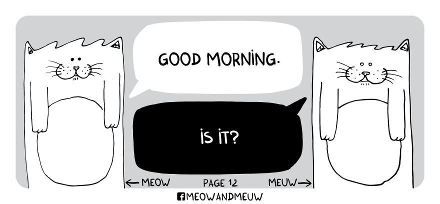 Meow And Meuw: The Cats With Sarcasm