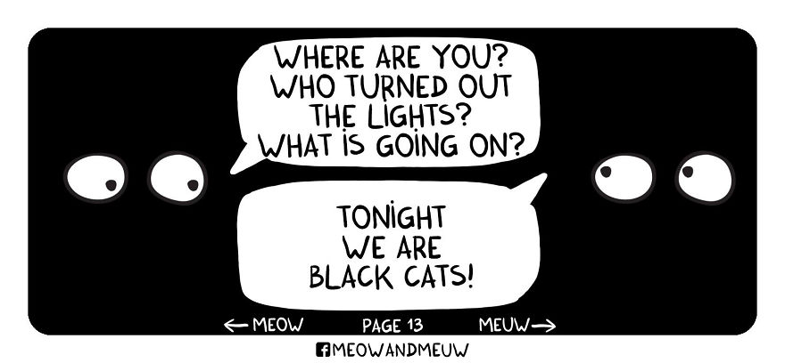 Meow And Meuw: The Cats With Sarcasm