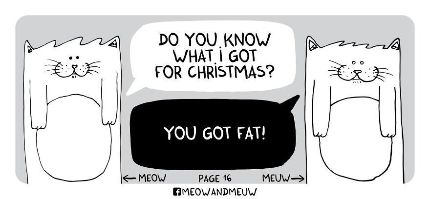 Meow And Meuw: The Cats With Sarcasm