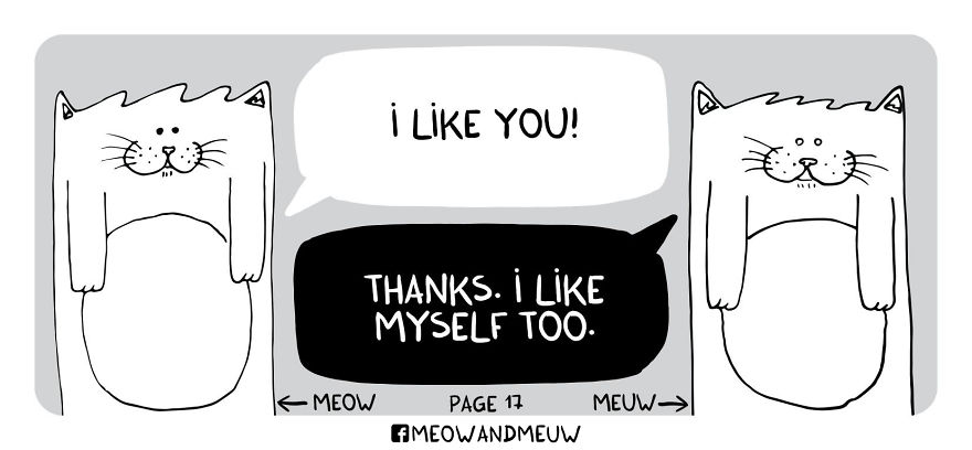 Meow And Meuw: The Cats With Sarcasm