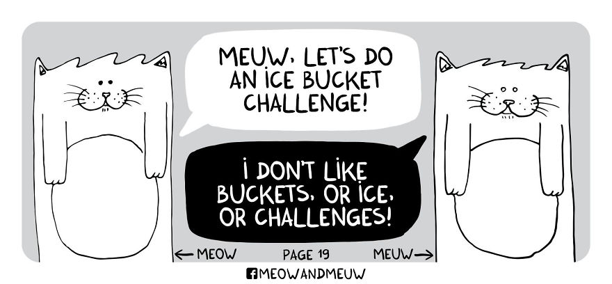 Meow And Meuw: The Cats With Sarcasm