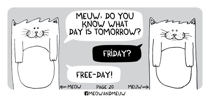 Meow And Meuw: The Cats With Sarcasm