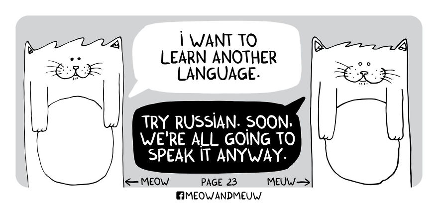 Meow And Meuw: The Cats With Sarcasm