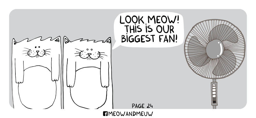 Meow And Meuw: The Cats With Sarcasm