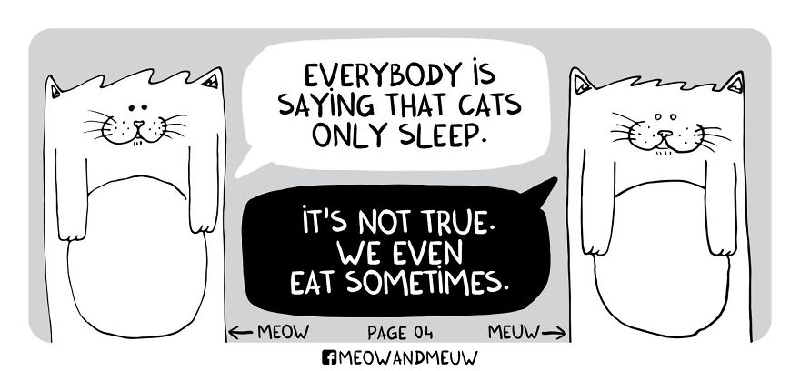 Meow And Meuw: The Cats With Sarcasm