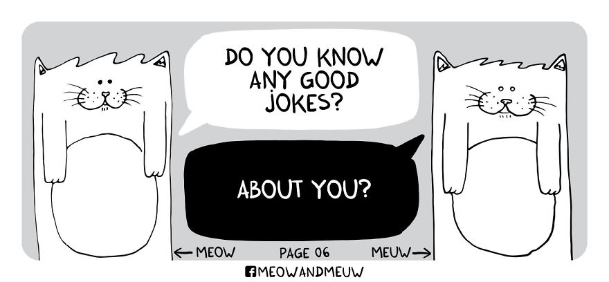 Meow And Meuw: The Cats With Sarcasm