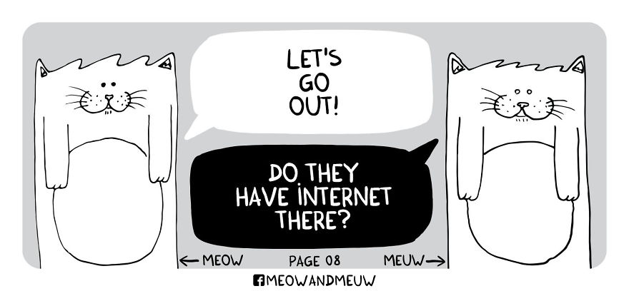 Meow And Meuw: The Cats With Sarcasm
