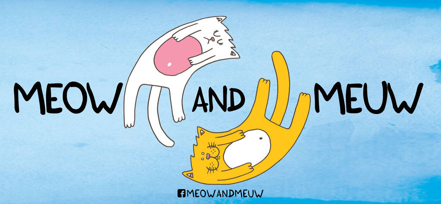 Meow And Meuw: The Cats With Sarcasm