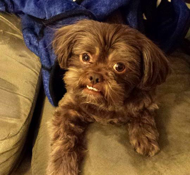 Cheeeeeeeeeeeeeeeeeese!!! Wait, Do I Get Cheese?