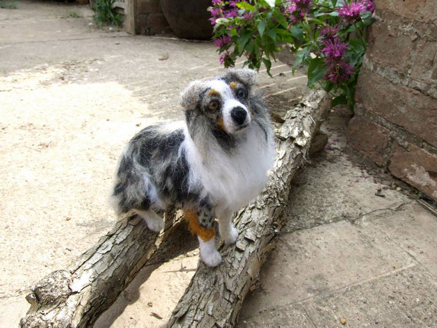 I Needle-Felt Realistic Sculptures Inspired By Real Animals