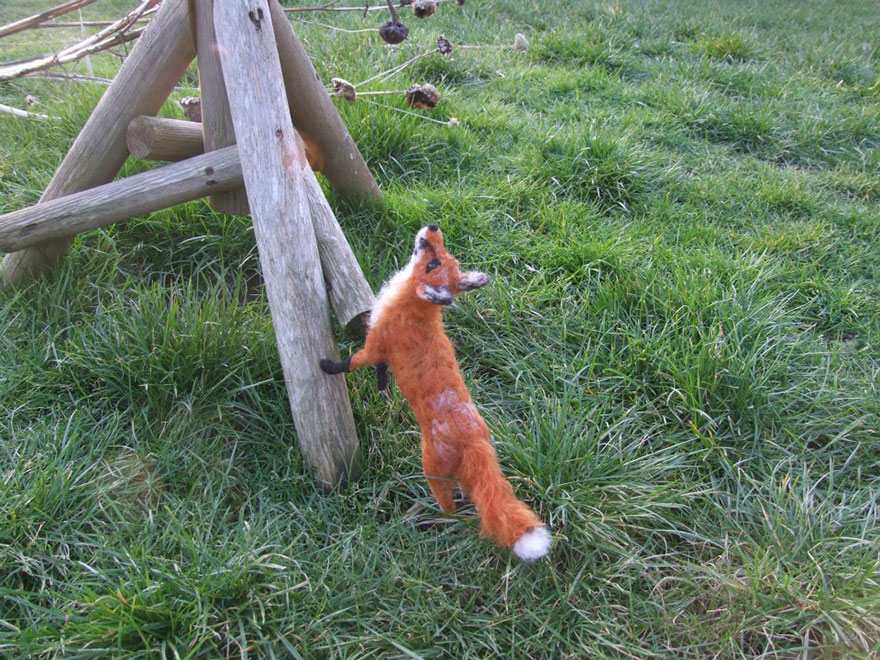 I Needle-Felt Realistic Sculptures Inspired By Real Animals