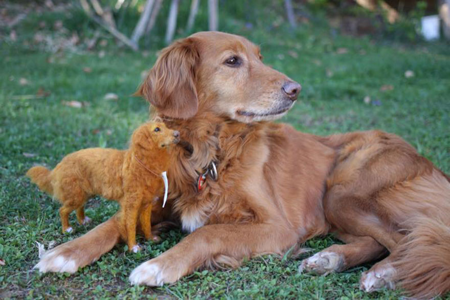 I Needle-Felt Realistic Sculptures Inspired By Real Animals