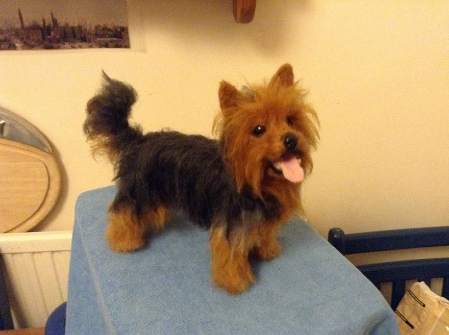 I Needle-Felt Realistic Sculptures Inspired By Real Animals