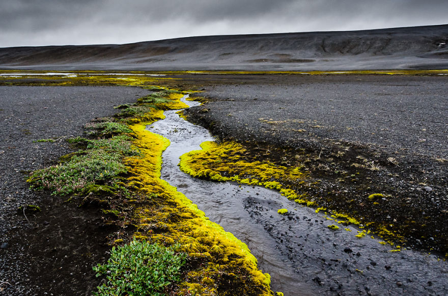 The Grass Is Greener Elsewhere: My Trip To Iceland The Grass Is Greener Elsewhere: My Trip To Iceland