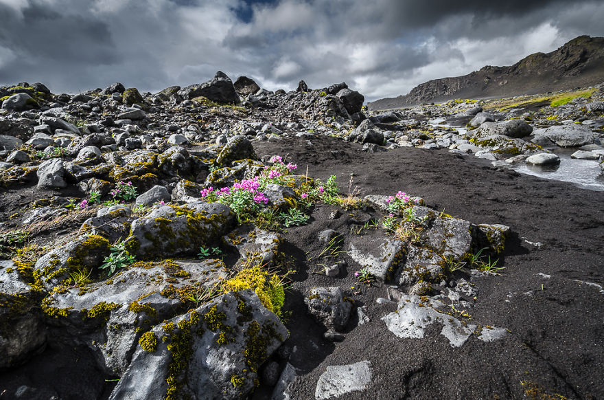 The Grass Is Greener Elsewhere: My Trip To Iceland The Grass Is Greener Elsewhere: My Trip To Iceland