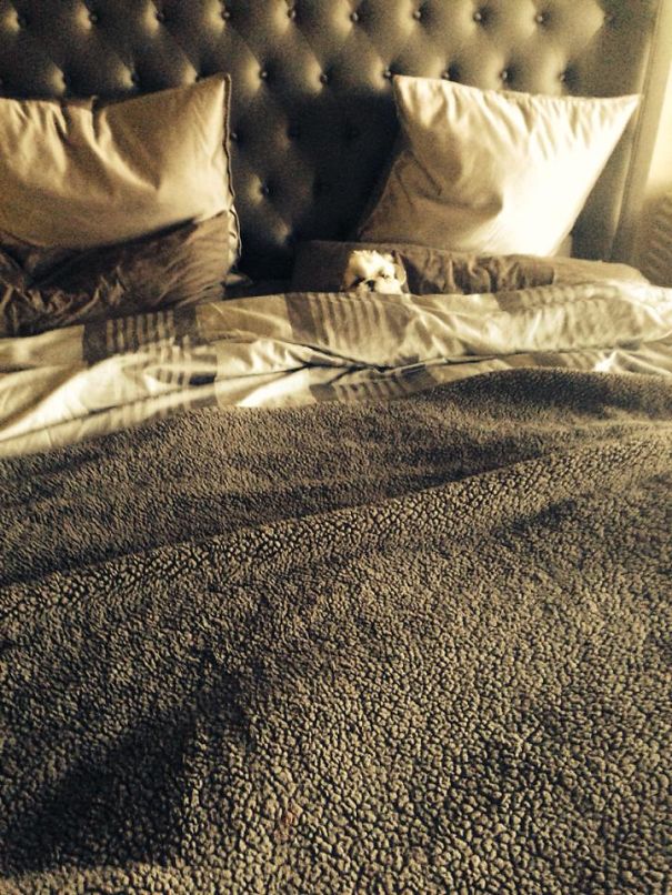 No Mom, I Am Not Going To School