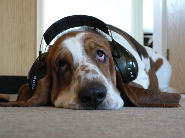 Ozy Is An Enthusiastic Team Member At The Airport