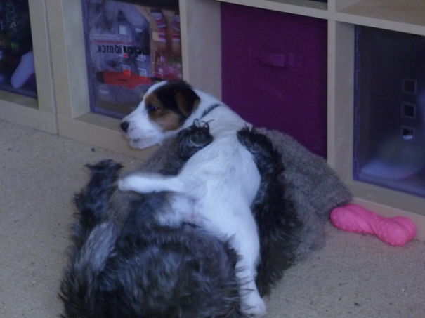 It's Always Busy In This Office...