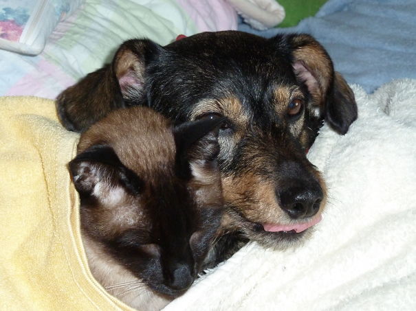 Please Switch Off The Light!