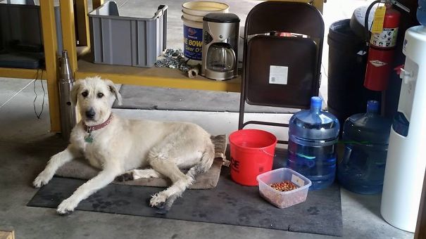 Shop Supervisor Hard At Work