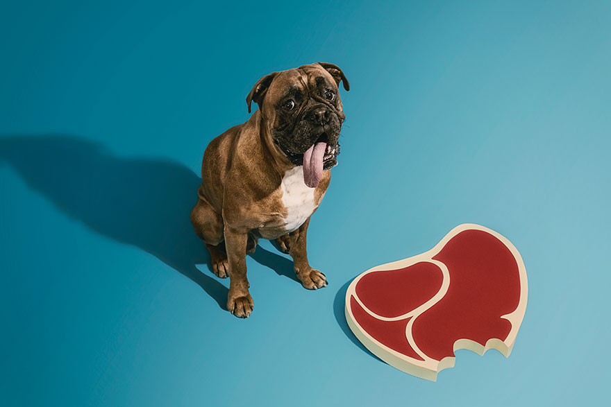 Rock, Scissors And, Of Course, Paper