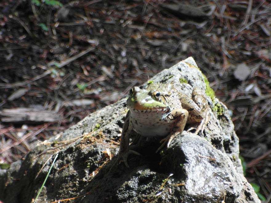 Not The Best Lip Liner Job I've Ever Seen!