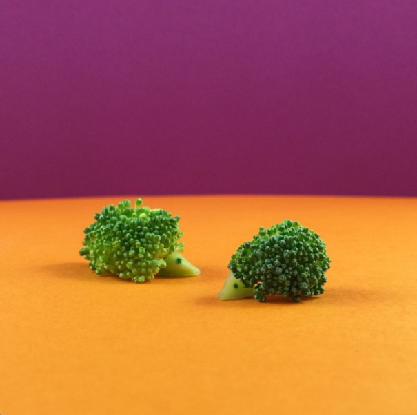 Designer Turns Food Into Adorable Art