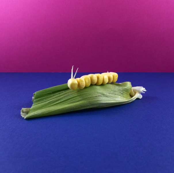 Designer Turns Food Into Adorable Art Designer Turns Food Into Adorable Art