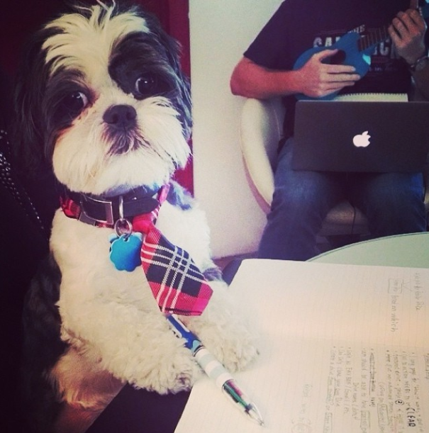 Can You Slow Down A Little? I Am New To Taking Notes